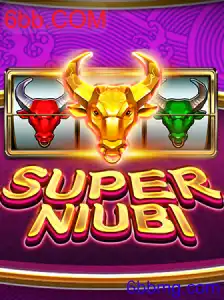 SuperNiubi